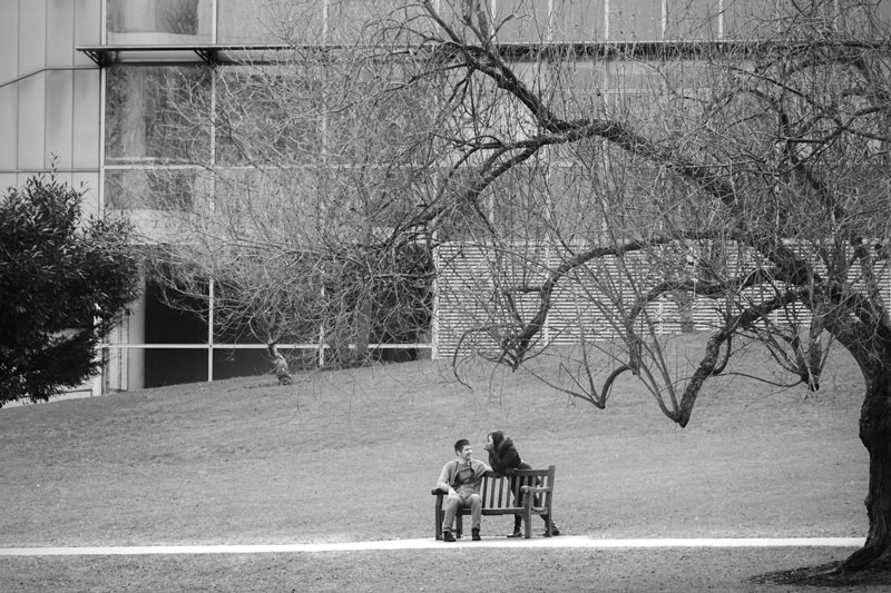 Couple on bench in distance - natural couple photography by James Robertshaw