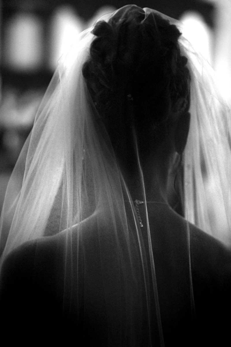 Bride veil from behind